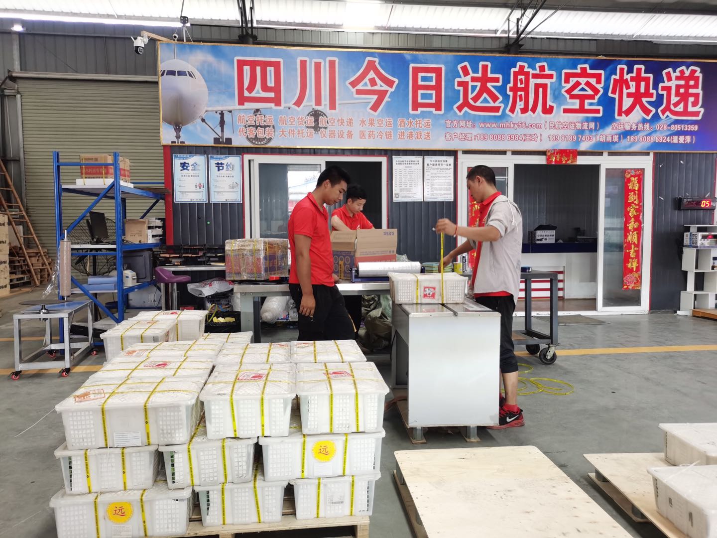 水果托運，水果空運當天到達