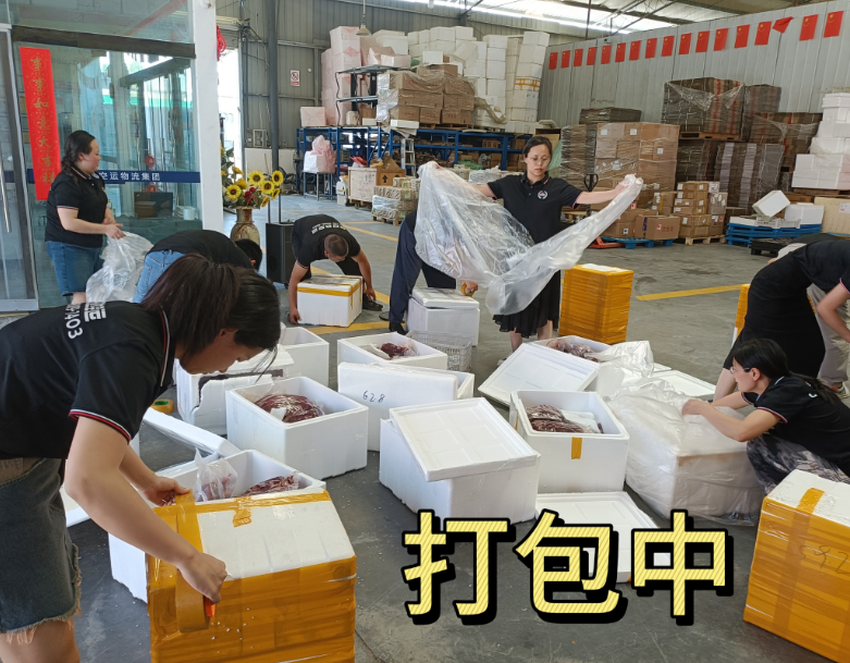 20250620deda91bd8db5d300f254c4cd0d994790.png 20250620deda91bd8db5d300f254c4cd0d994790.png